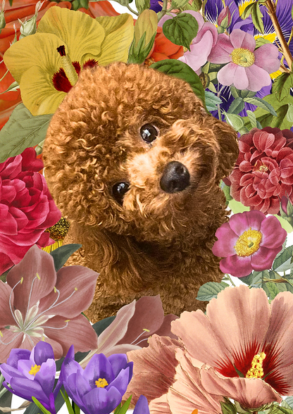 Barks and blossoms collage